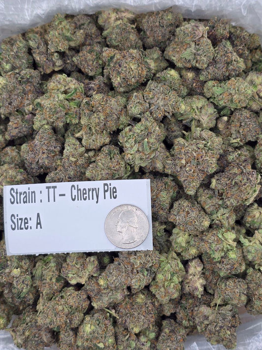 Cherry Pie – Bulk THCa Flower | Tier 2