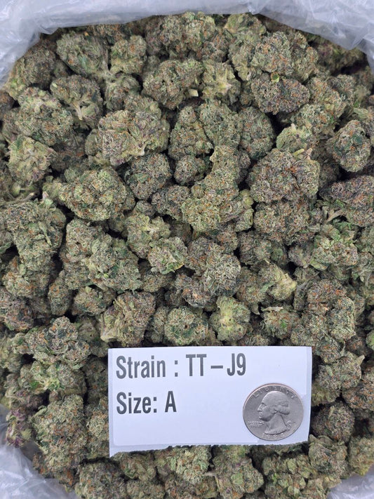J9 – Bulk THCa Flower | Tier 2