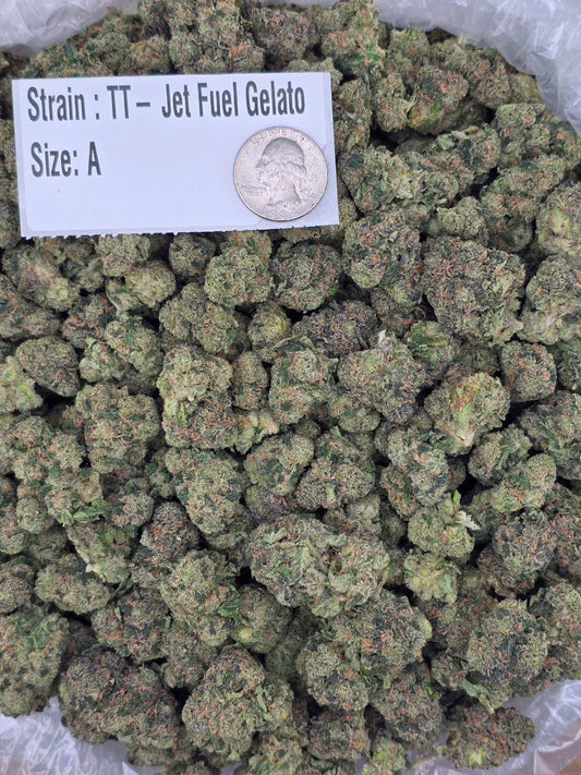 Jet Fuel Gelato – Bulk THCa Flower | Tier 2