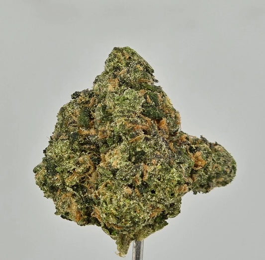Jet Fuel Gelato – Bulk THCa Flower | Tier 2