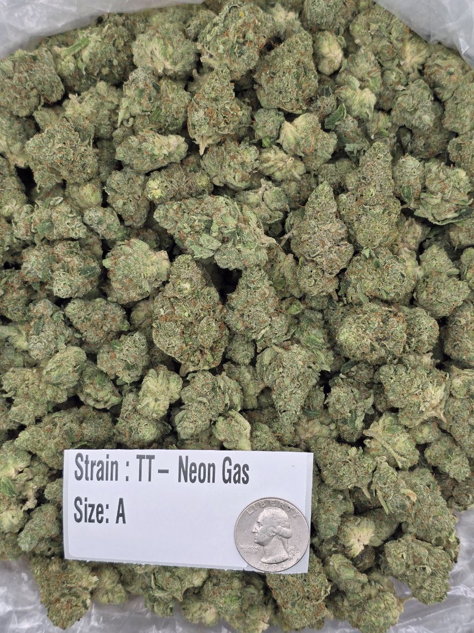 Neon Gas – Bulk THCa Flower | Tier 2