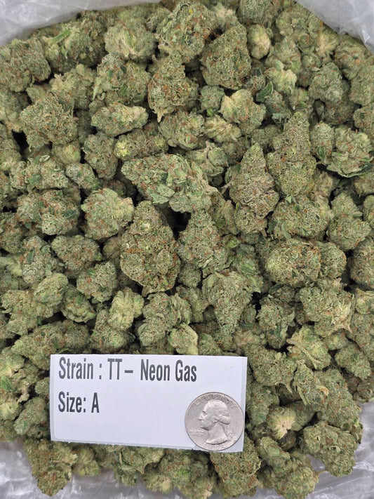 Neon Gas – Bulk THCa Flower | Tier 2