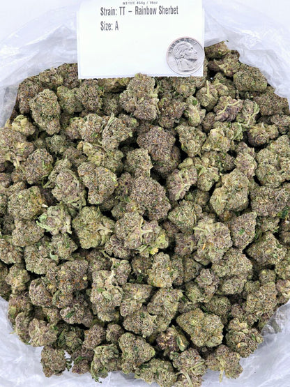 Rainbow Sherbet – Bulk THCa Flower | Tier 2