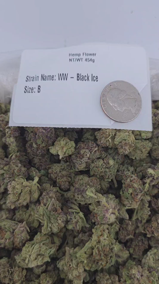 Black Ice – Bulk THCa Flower | *Sale*