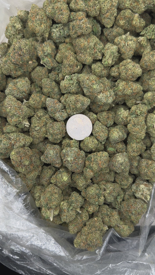 AM Coast – Bulk THCa Flower | Tier 2