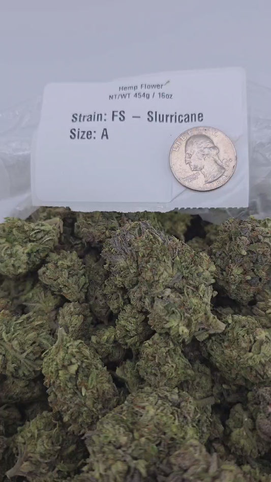 Slurricane – Bulk THCa Flower | Tier 5
