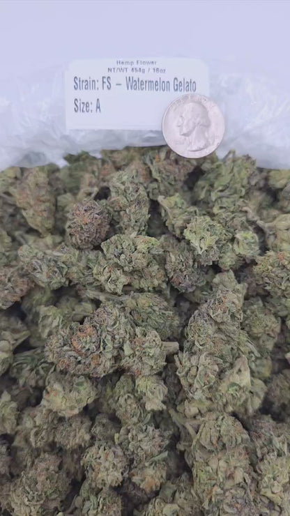 Watermelon Gelato – Bulk THCa Flower | Tier 5