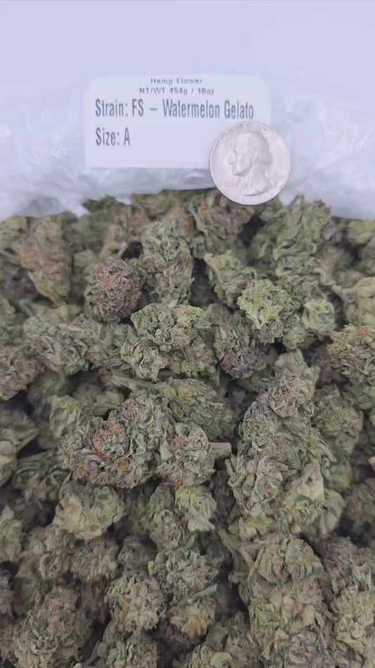 Watermelon Gelato – Bulk THCa Flower | Tier 5