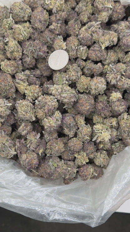 Wonka Bars – Bulk THCa Flower | Tier 5