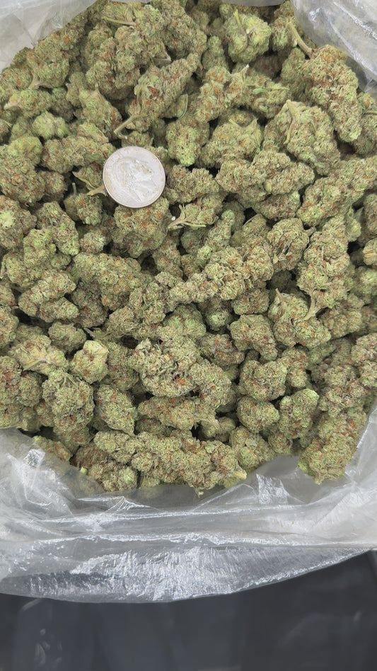 Gasface OG – Bulk THCa Flower | *Sale*