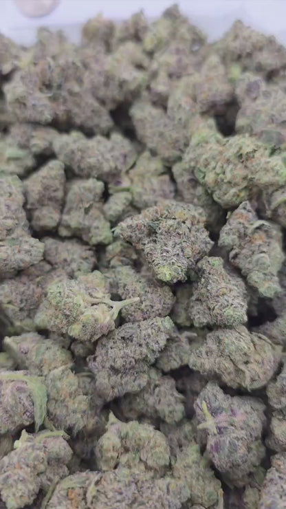 Space Runtz – Bulk THCa Flower | Tier 1
