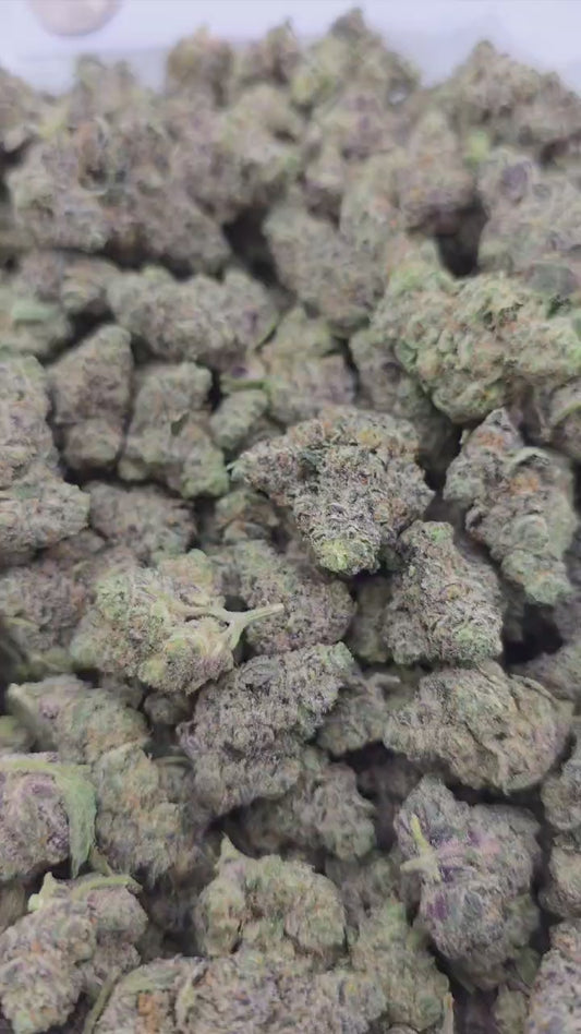 Space Runtz – Bulk THCa Flower | Tier 1