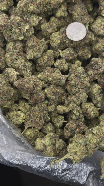 Pinnacle – Bulk THCa Flower | *Sale*