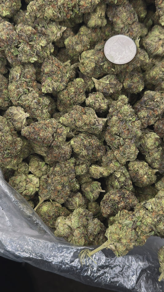 Pinnacle – Bulk THCa Flower | *Sale*