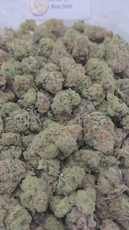 Mango Sherbet  – Bulk THCa Flower | Tier 2
