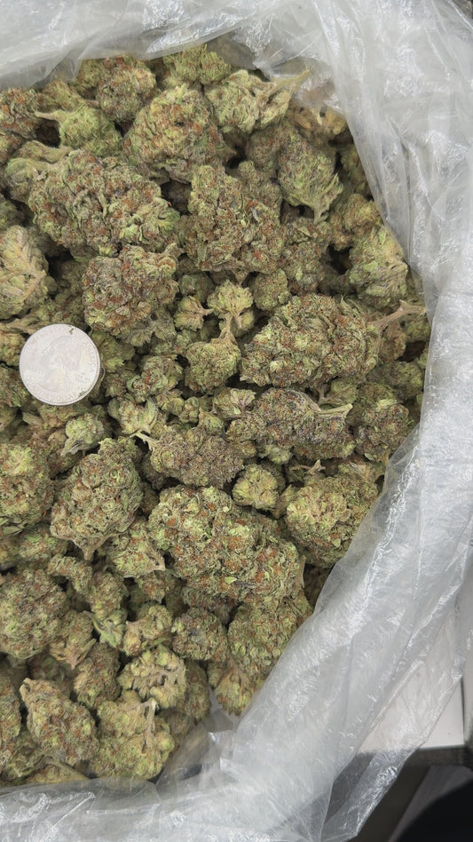 Red Velvet – Bulk THCa Flower | *Sale*